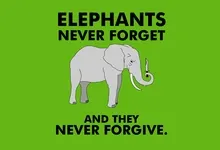 text humor never forget elephants green background 1680x1050 wallpaper Art HD Wallpaper